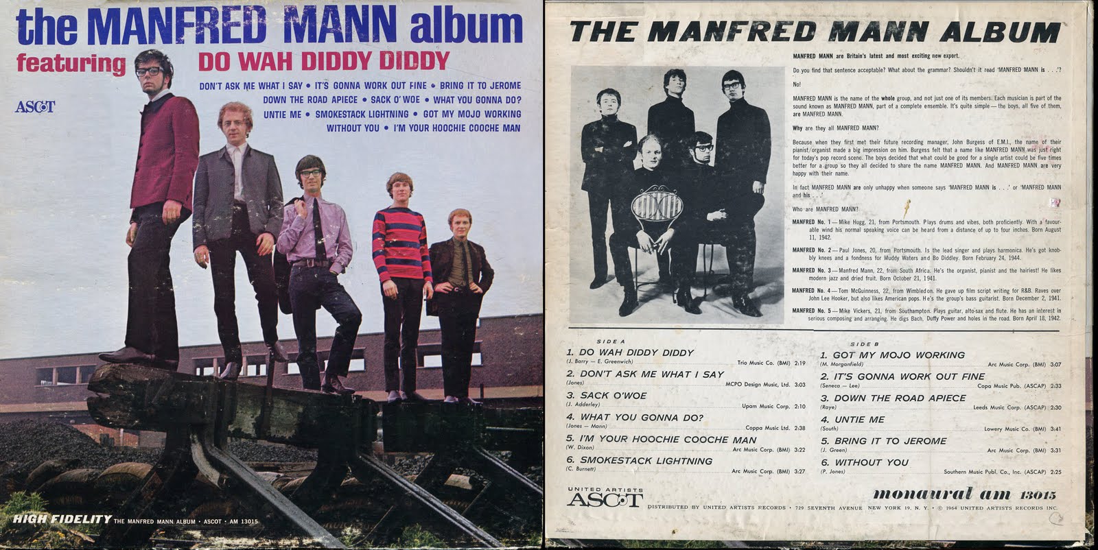 DAVID'S ROCK SCRAPBOOK: MANFRED...